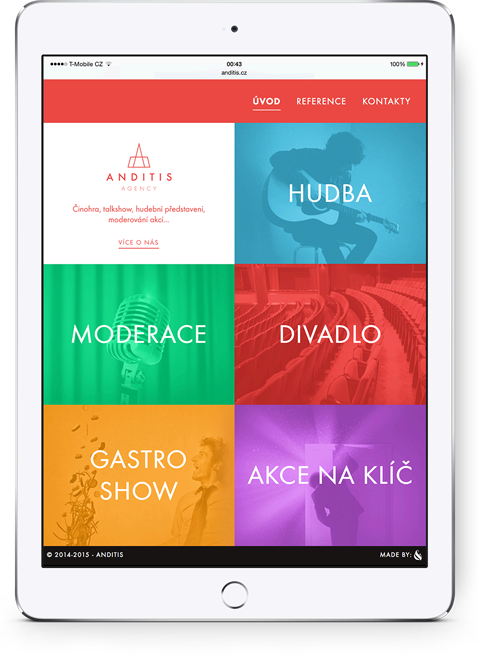 Anditis website