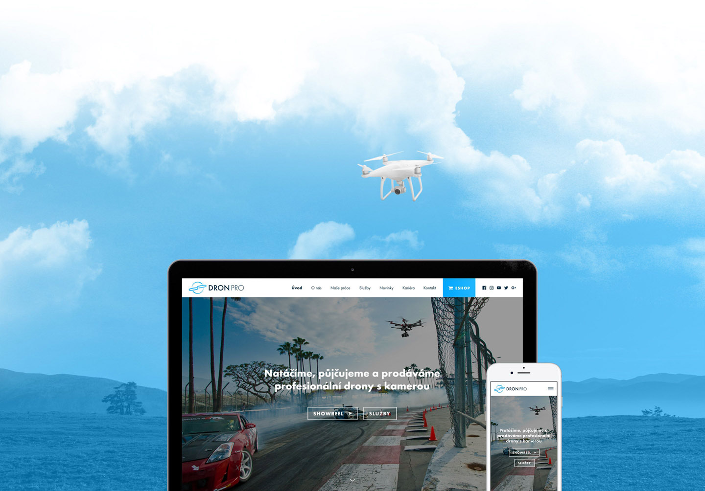 dronpro webdesign